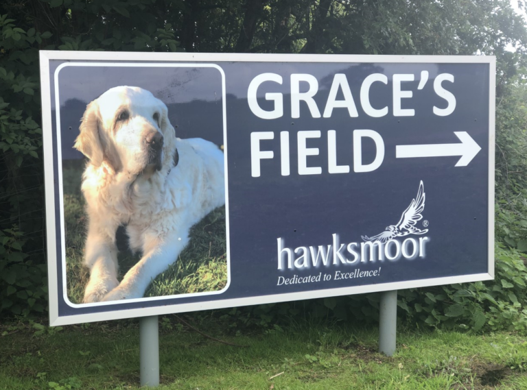 1514 688f0b80f7c52bb738490d2c0026197f 1 768x569