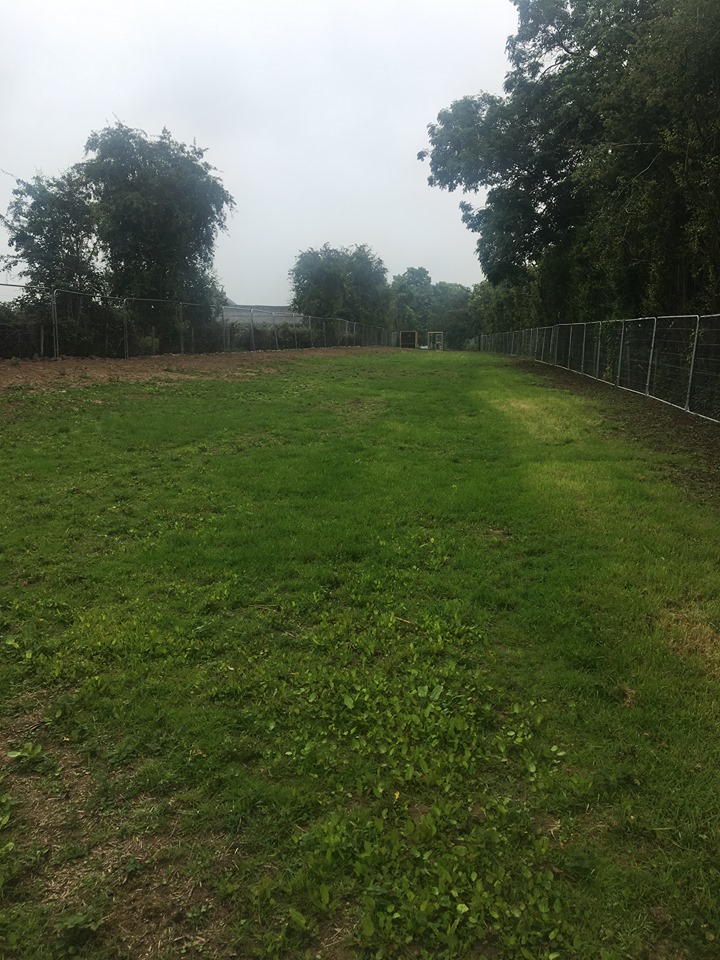 1514 9b58ededcd6445e5fef12b8a4a1ef62c 1