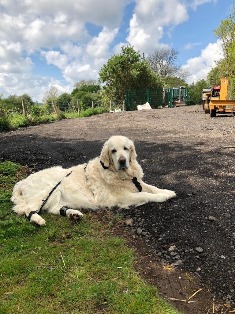 1514 b6ef49f2cd85e1d609ecc5ab93bc3482 1 768x1024