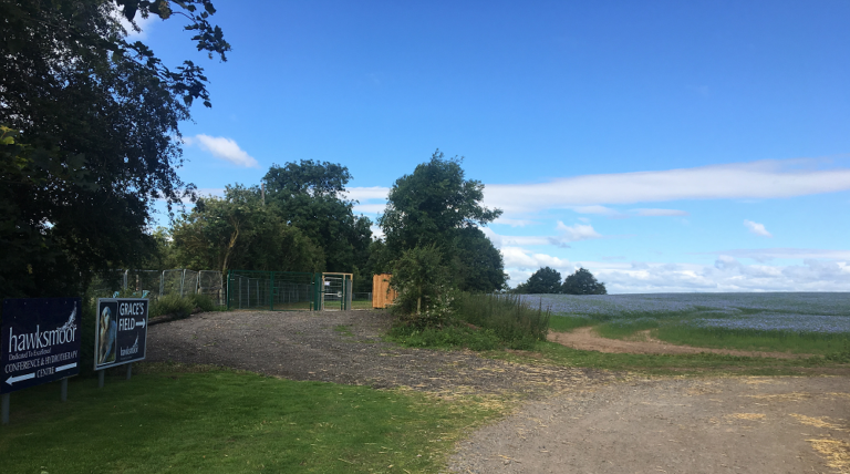 1514 f4d4b9f9dc892c5411801fb3d7c2d437 1 768x428