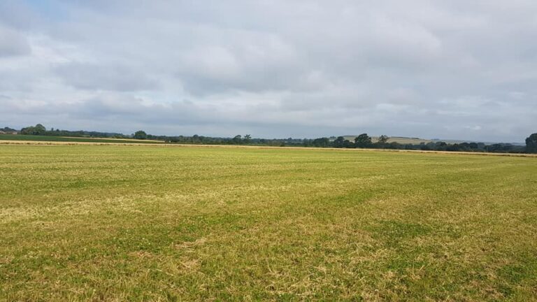 1515 17a5fbd5064898cbfe85b5c4637c527b 1 768x432