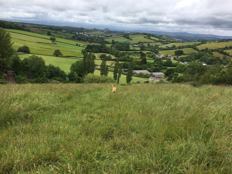 1519 3bc2ea7fa96b4d73c662f3caa5b3bdfd 1 768x576