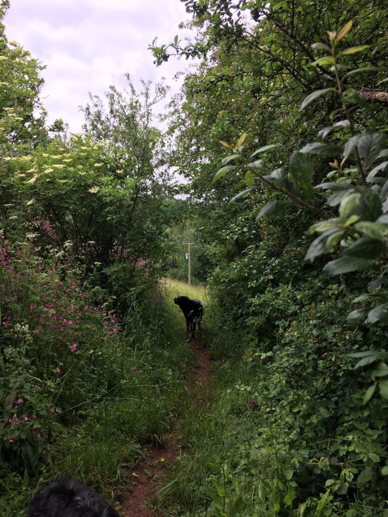 1519 4f90e096cb90ca597a8d941c5ff3aef4 1 768x1024