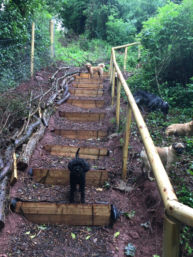 1519 6f16d605c3626fef04543ca382c063ed 1 768x1024