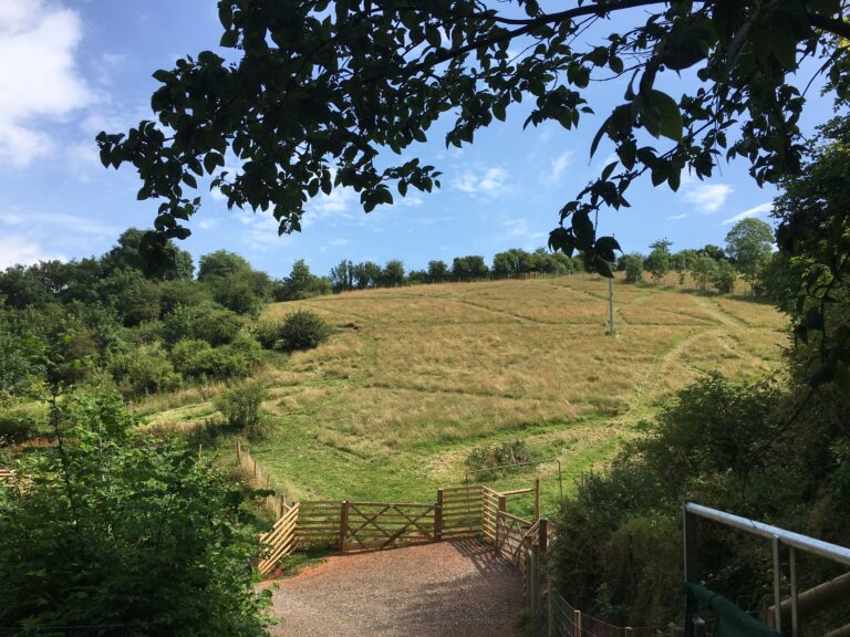 1519 aa55071a2a67e337794b65d80401a9a8 1 768x576