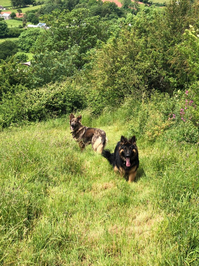 1519 b1f675a9d45b7192325df2243e9e4066 1