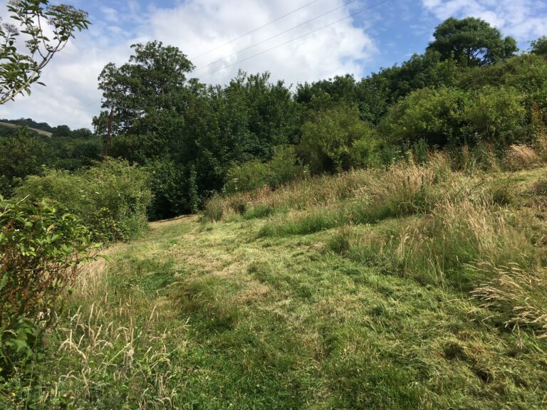 1519 ff7df659f3ba3ce5cefd8259520c5463 1 768x576