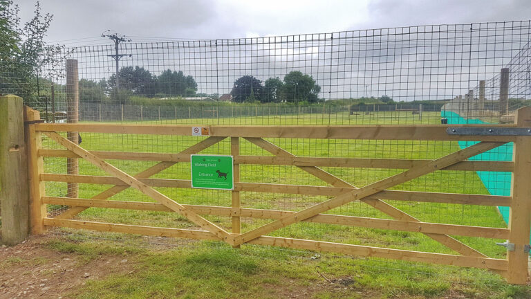 1520 24c95a437099d22658ee3210d7e0a160 1 768x432