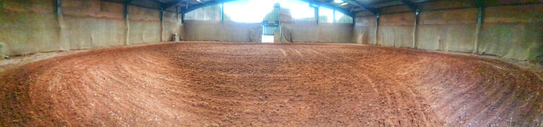 1520 364882136a8d0ceb5488d30368a66585 1 768x180