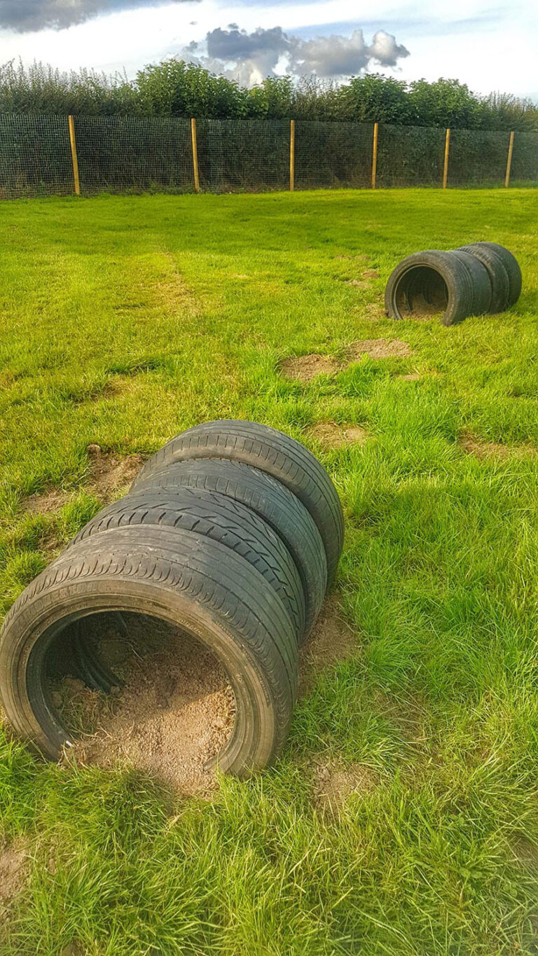 1520 4538341fd0fa75fc6cbabb7e84d3e626 1 768x1365