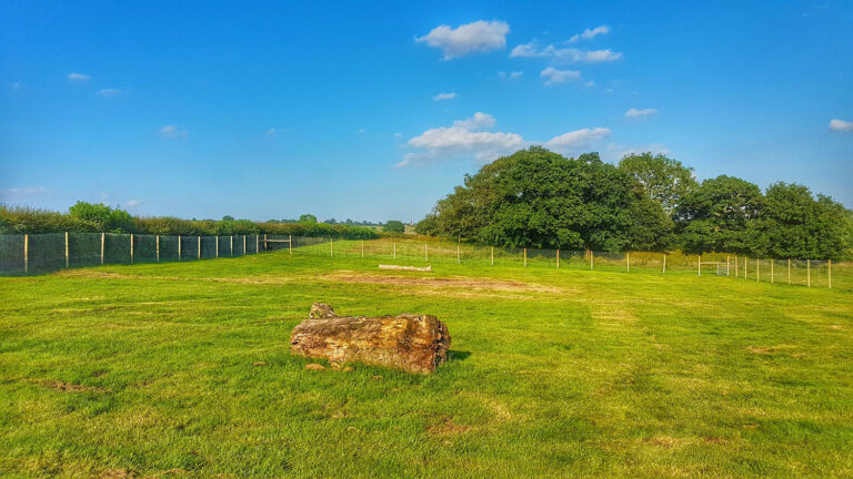 1520 4fded1022c13154dad7176ec4ed06097 1 768x432