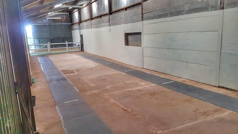 1520 88f77188a78e2d7b92cf0d52d9552191 1 768x432