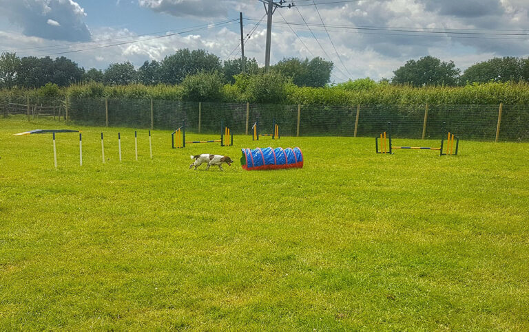 1520 acf0ef05a987f88c48ef130759bb6cd1 1 768x483