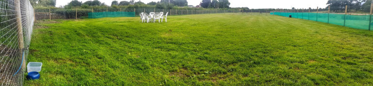 1520 b29973e8106a6ef3d8b4d7ce343fb477 1 768x178