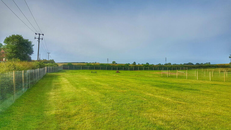 1520 ea43e654a9be7d853b52cbb928f487dd 1 768x432