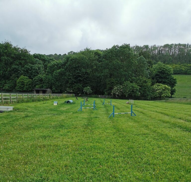 1524 2fc2d7ffe453c139cf5c7341a282bb9c 1 768x732