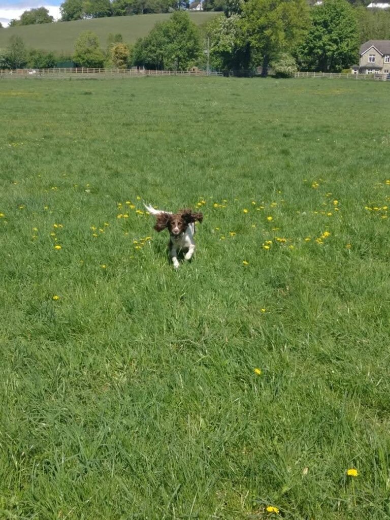 1524 31144009eadfc8a7d2bdf727c6dd7c55 1 768x1024