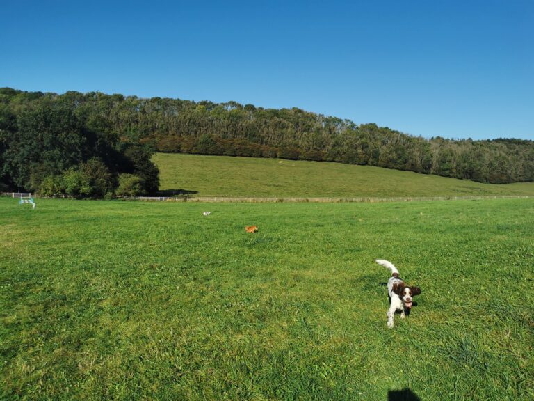 1524 c17b4cbafc65745c89361e3ccf368676 1 768x576