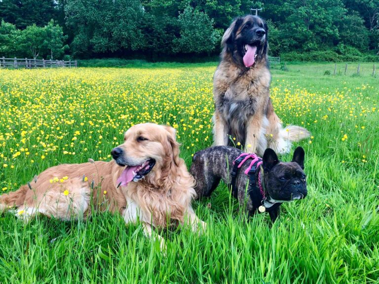 1526 3c5b4422da6f00dd07275f0cb78c02e1 1 768x576