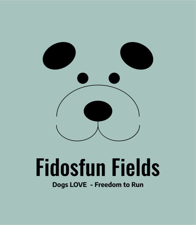 1528 3ecf44a2b4ed223e8f7e516c47f9dcfe 1 768x884