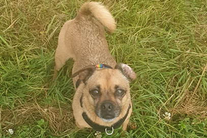 1530 6ce9c1b2ec6dfd6202e696b524d5f36c 1