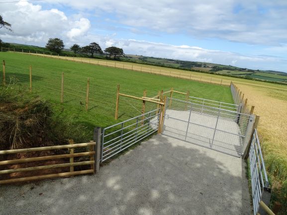 1531 9e8e77c3f0cc35b4ed5d72695eeba1f9 1