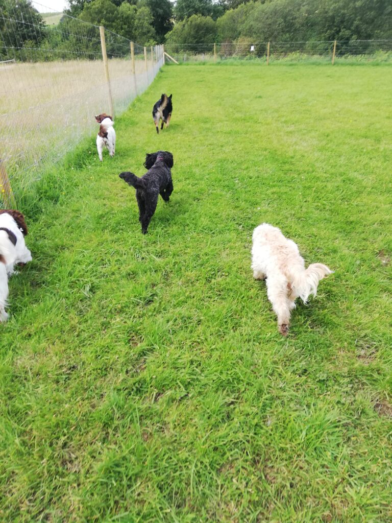 1533 42abf4b2e45e18d23f68eac3971f1bf8 1 768x1024