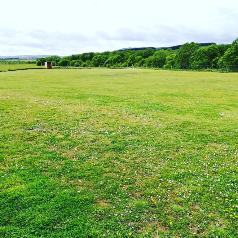 1533 6b9017af8c36468f0d1e630ae0965108 1 768x768