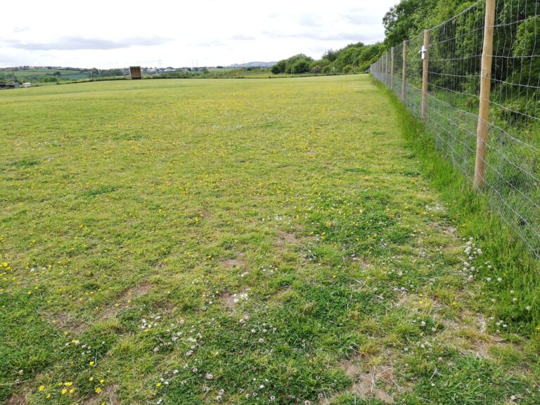 1533 a7d1abcd8c9871da22fd7d351346b431 1 768x576