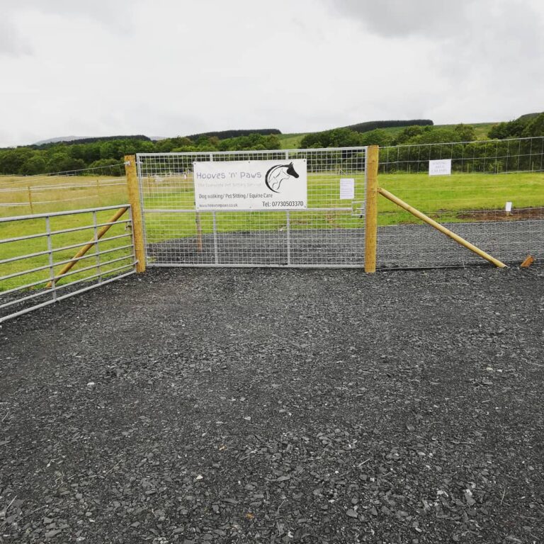 1533 b1329e6ed0cdfeeddb1192aaf7f73b0c 1 768x768