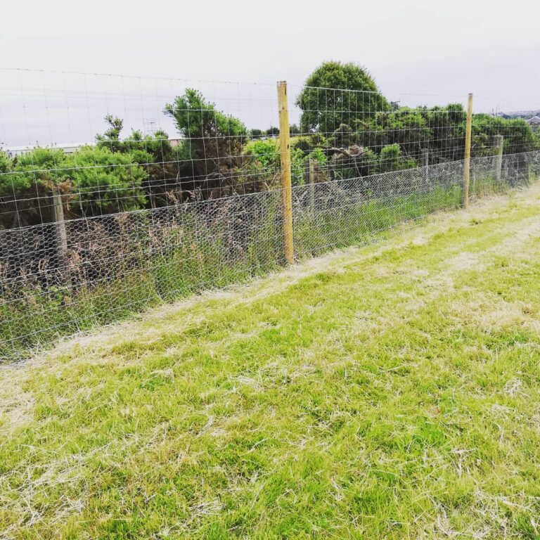 1533 ebb0939d0070c72c3a33d644a39f25f1 1 768x768