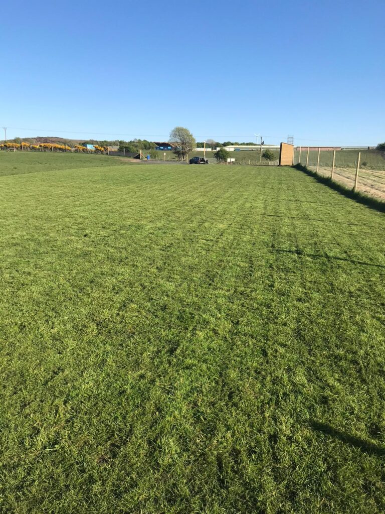 1533 f549dc753888c55726ba09cf49a99f0f 1 768x1024