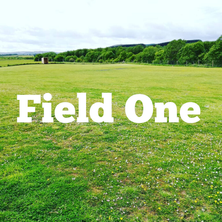 1533 f6e56e864bed313870c674469aff00c4 1 768x768