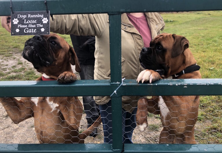 1534 1917e2ff7e9751f56cfe6706cecfa673 1 768x530