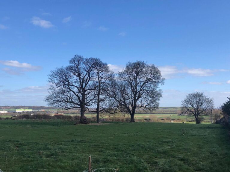 1534 19bea15ec2c03e7ecbf9a8df9e32b09d 1 768x576