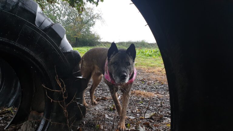 1534 38c11fc2abdafff906a6675ca2cdd154 1 768x432