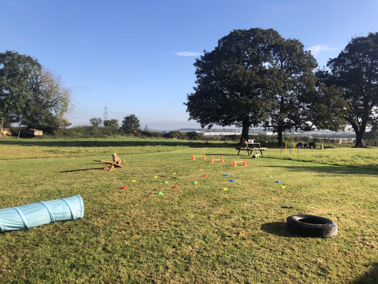 1534 396c225be890e51b452ff5c4f7e69893 1 768x576