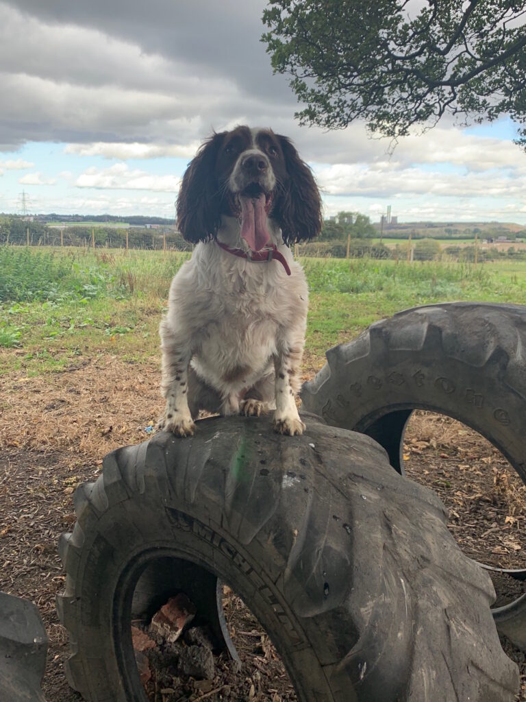 1534 39badbba85ebdf9f784c0a6dc003f0e5 1 768x1024