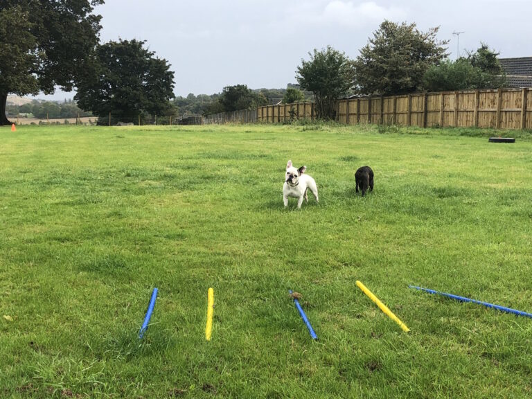 1534 3defffbe88aef38b91235151f3c9e0bf 1 768x576