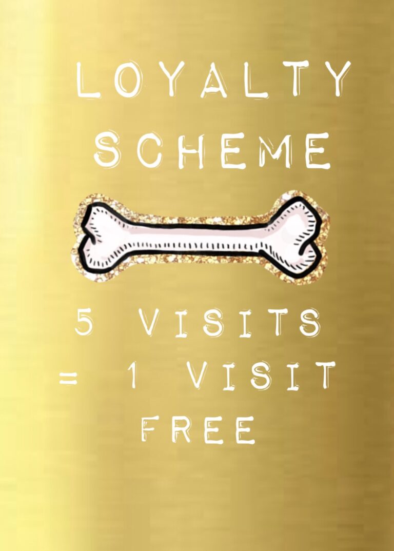 1534 47b09da53a2608f6994dce71e92c2ff5 1 768x1074