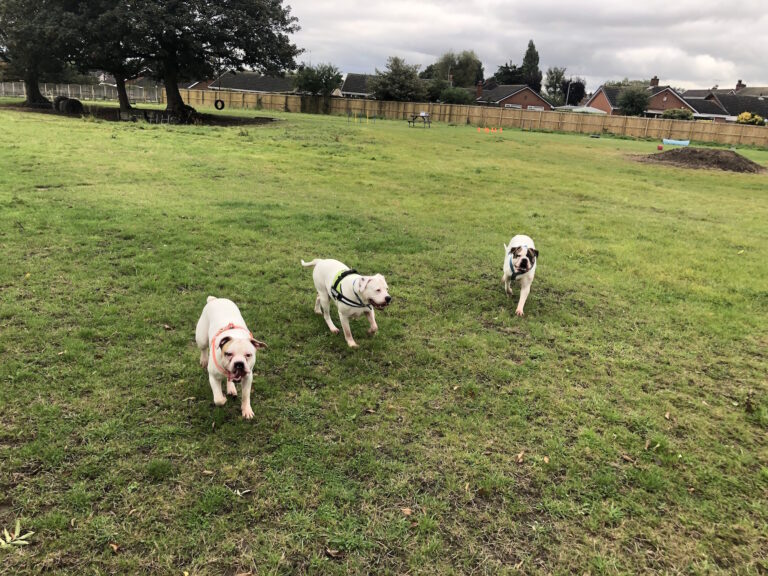 1534 5852869a42707db44c819fda8978a633 1 768x576