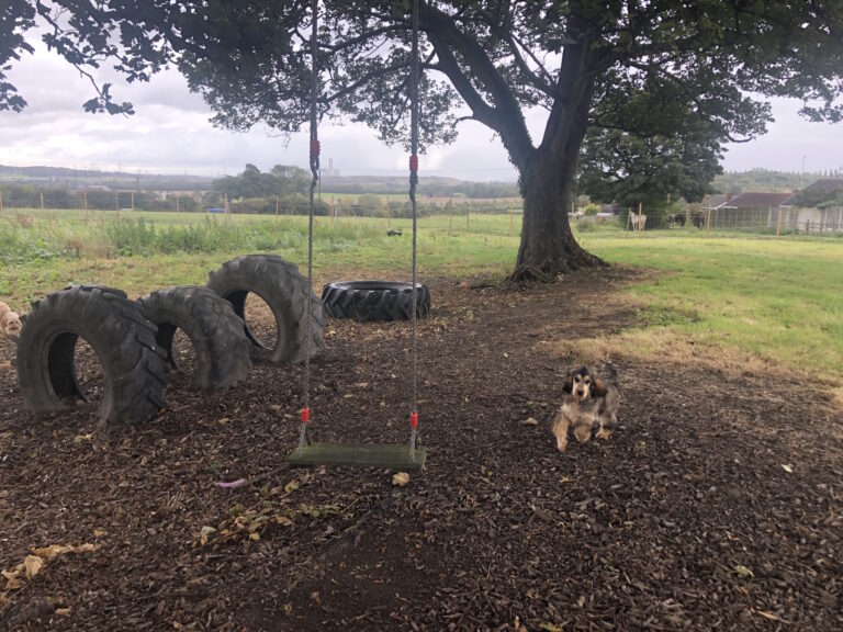 1534 61f9a71e4e6563290388b33883221caa 1 768x576