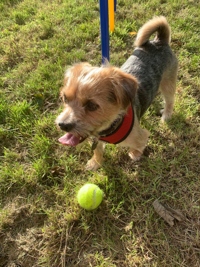 1534 8d76f801792728cdd4d27d44f004e9aa 1 768x1024