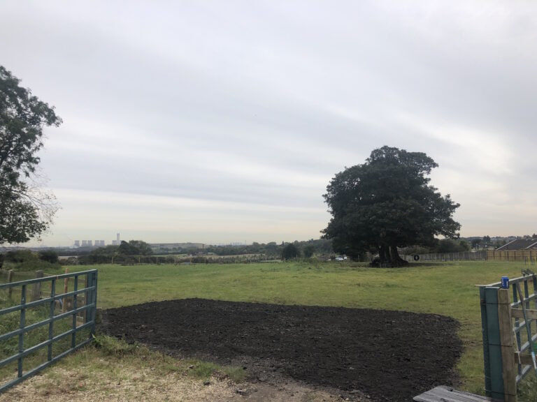 1534 91735327cd9d6a481bff8f481fa8fe38 1 768x576