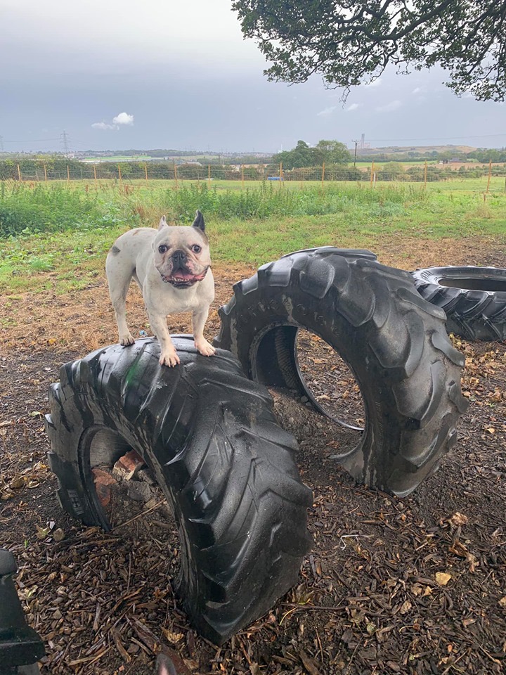 1534 96c9d415a4b4eecc4cbfdba02f88a3a3 1