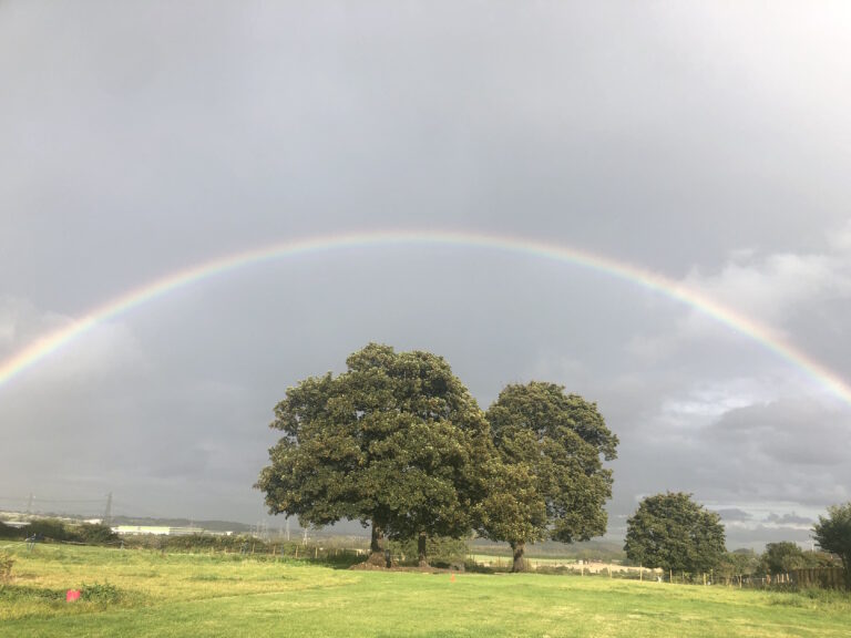 1534 97a0c2bc5116b5390b60fcdd9ccb3fbd 1 768x576