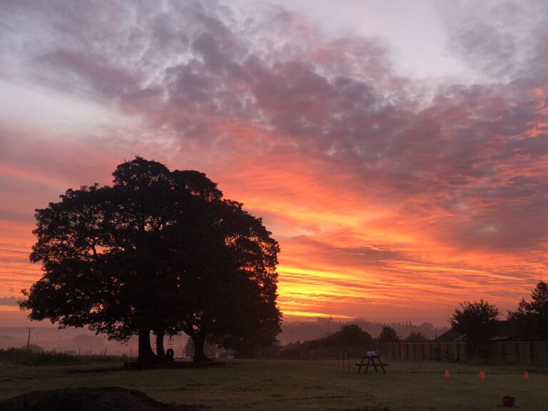 1534 a50db11041b40571ff5e33415f4553dd 1 768x576