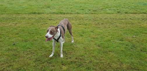 1534 a79f71fa6a2598d6257a645be9683e62 1