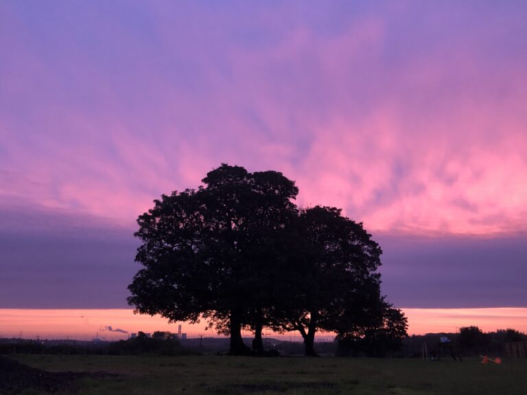 1534 ad1347e4860244d748d192ccf68b1cd1 1 768x576