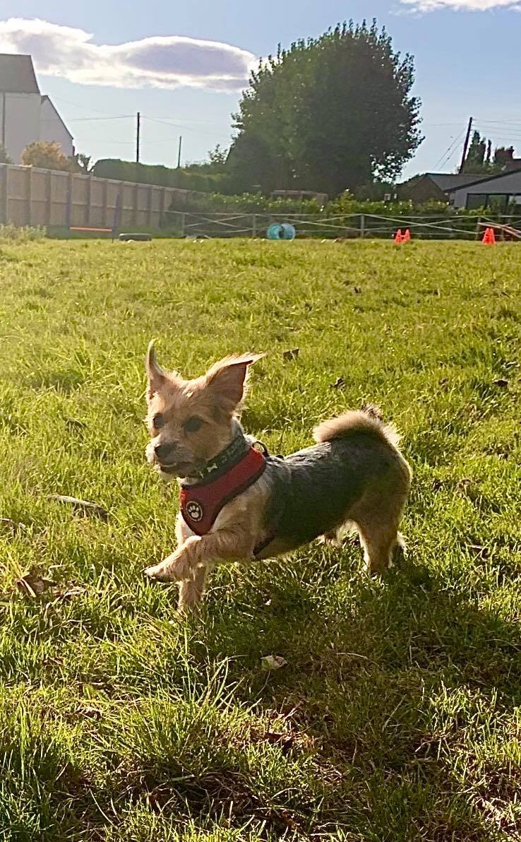 1534 adf2bab579edc0fec6b17b61bb217d54 1